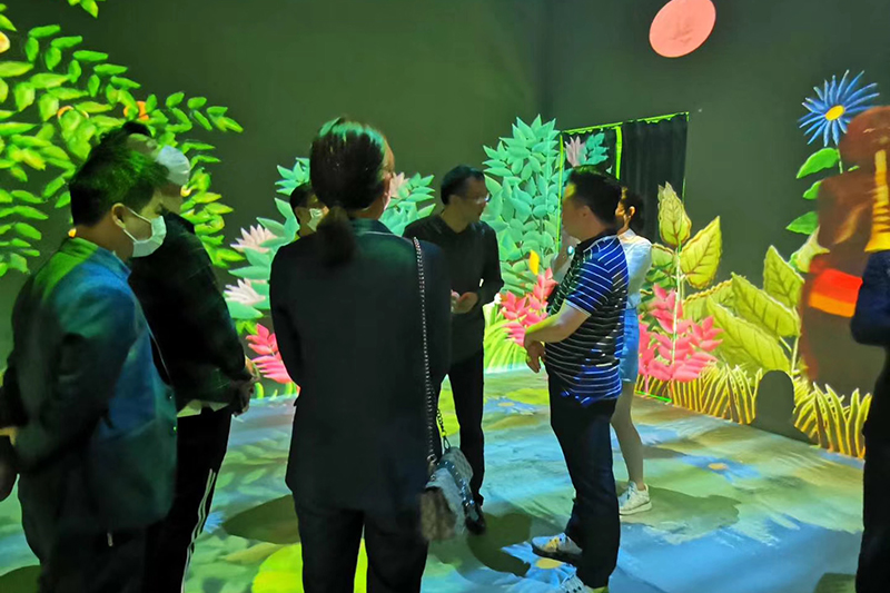 Immersive interactive projection showroom